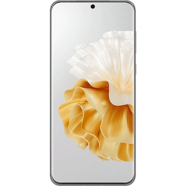 P60 Pro