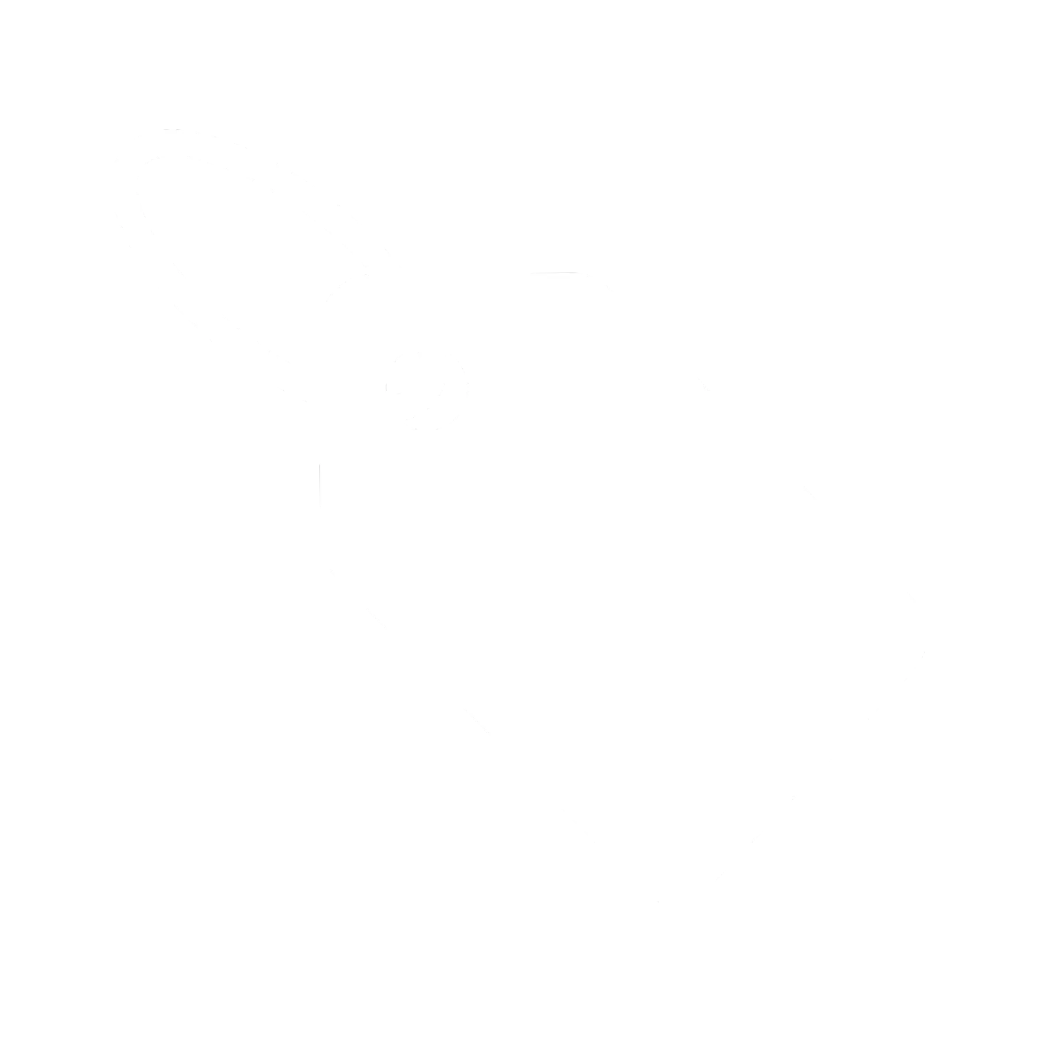 Placeholder Icon